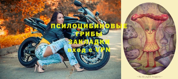 сатива Абинск