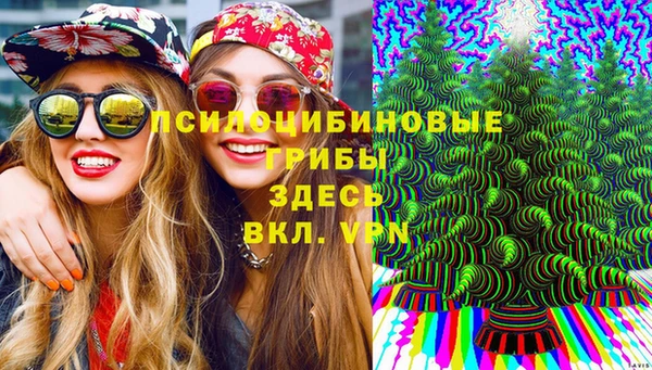 прущие грибы Абдулино
