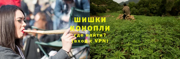 прущие грибы Абдулино