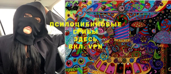 сатива Абинск