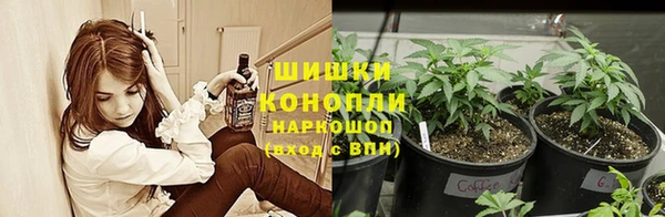 прущие грибы Абдулино