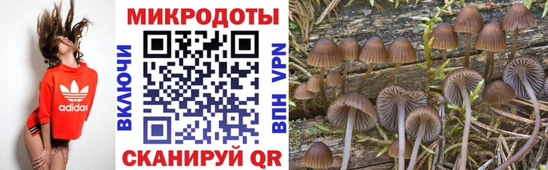 Псилоцибиновые грибы Psilocybine cubensis  Инза 